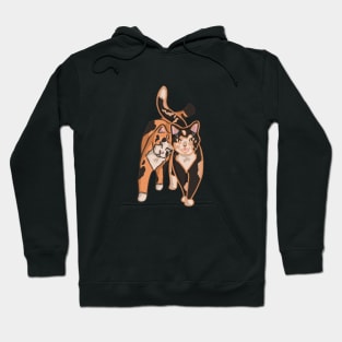 Double Trouble Cats Hoodie